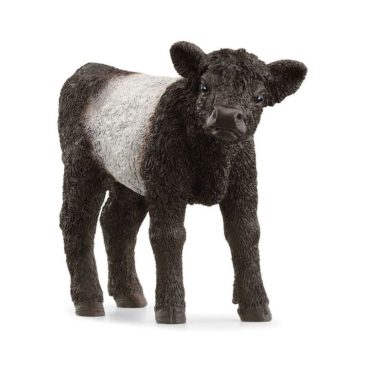 Produktbild: schleich&reg; Farm World Galloway Kalb 5,7cm