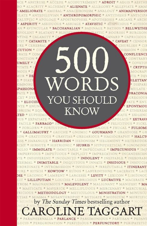 Produktbild: 500 Words You Should Know