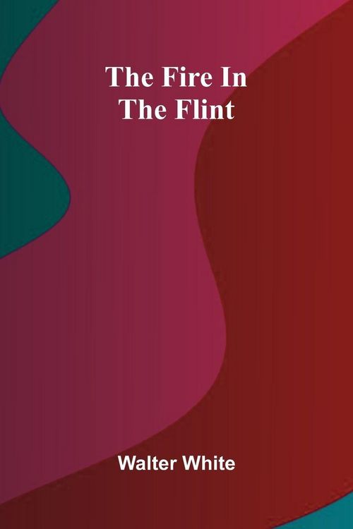 Produktbild: The fire in the flint