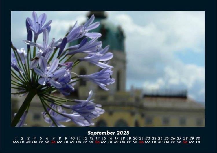 Produktbild: Blumentr&auml;ume 2025 Fotokalender DIN A4