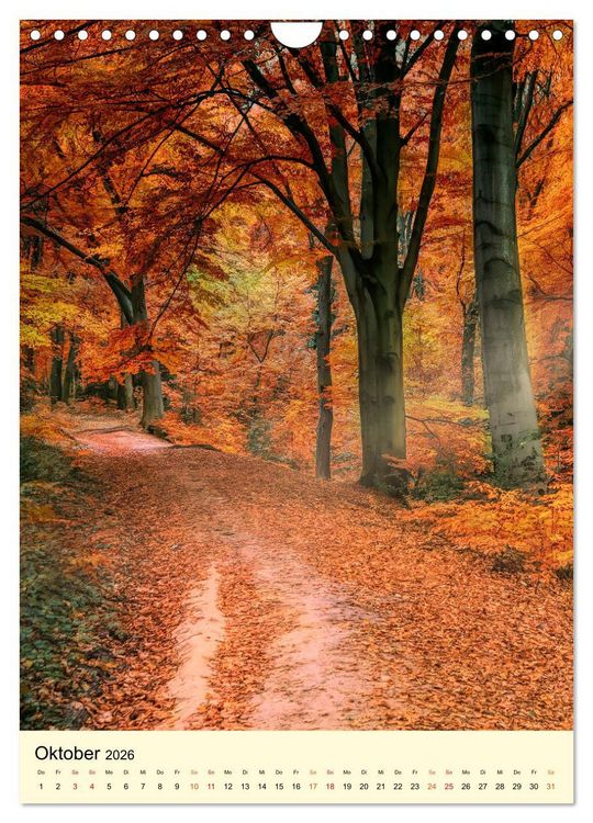 Produktbild: Abenteuer Nationalpark in Deutschland (Wandkalender 2026 DIN A4 hoch), CALVENDO Monatskalender