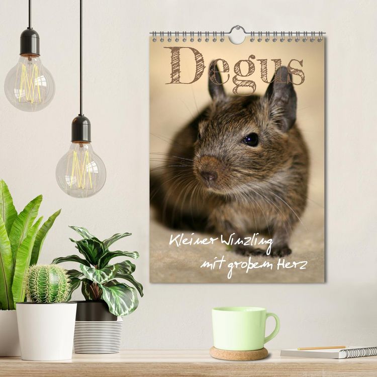 Produktbild: Degus - Winzlinge mit gro&szlig;em Herz (Wandkalender 2026 DIN A4 hoch), CALVENDO Monatskalender