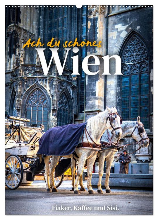Produktbild: Ach du sch&ouml;nes Wien (Wandkalender 2026 DIN A2 hoch), CALVENDO Monatskalender
