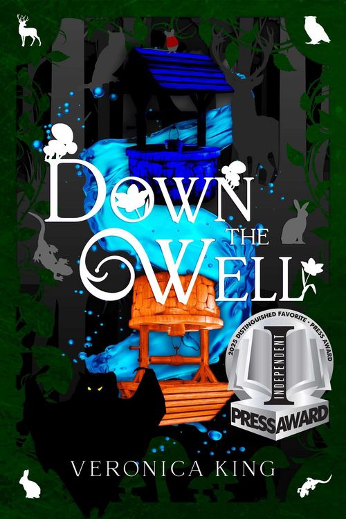 Produktbild: Down the Well