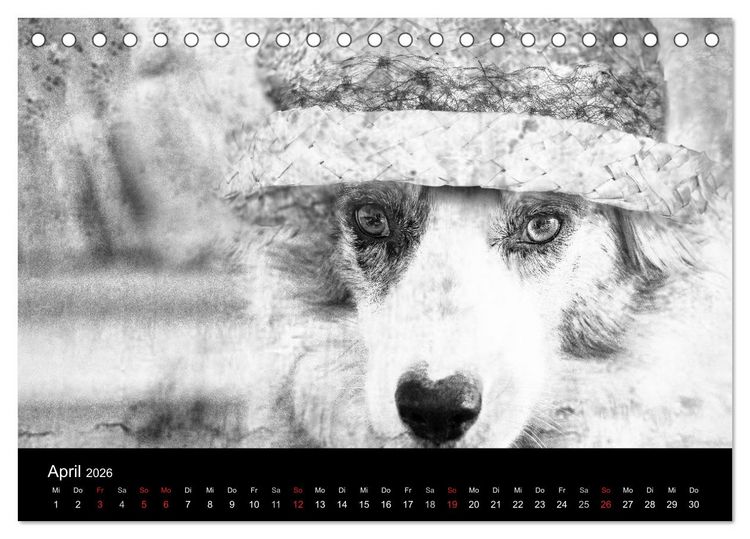 Produktbild: H&uuml;tehunde (Tischkalender 2026 DIN A5 quer), CALVENDO Monatskalender