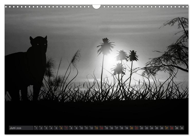 Produktbild: Sonne und Mond - faszinierend und anziehend (Wandkalender 2026 DIN A3 quer), CALVENDO Monatskalender