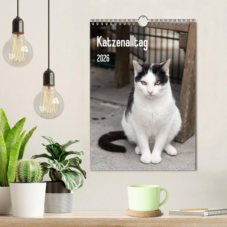 Produktbild: Katzenalltag 2026 (Wandkalender 2026 DIN A4 hoch), CALVENDO Monatskalender