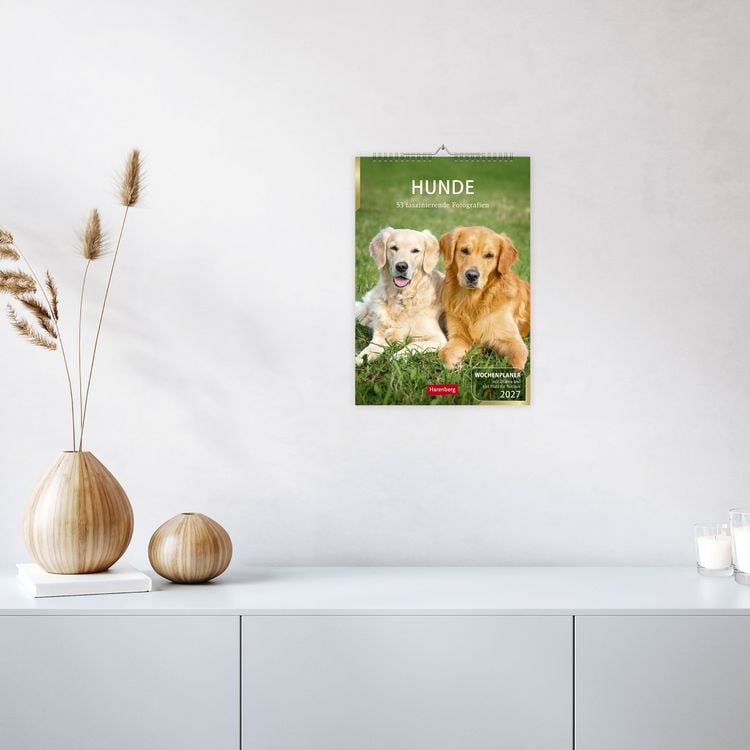 Produktbild: Hunde Wochenplaner 2027 - 53 faszinierende Fotografien