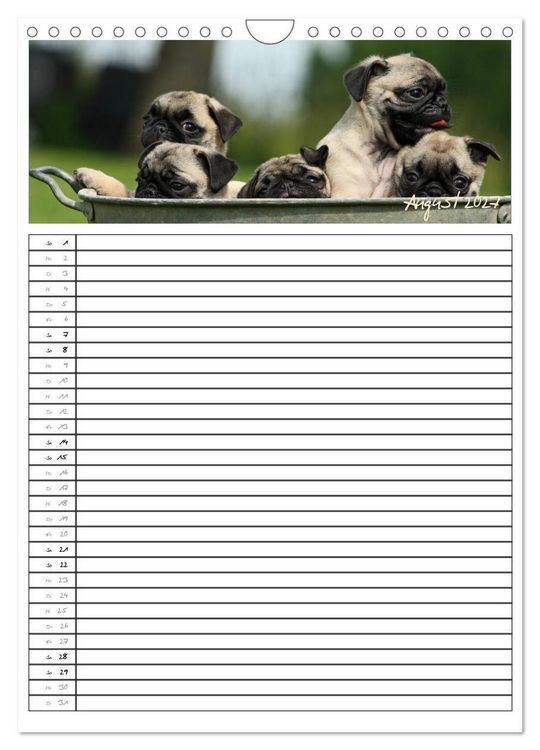 Produktbild: Der mopsige Familienplaner (Wandkalender 2027 DIN A4 hoch), CALVENDO Monatskalender