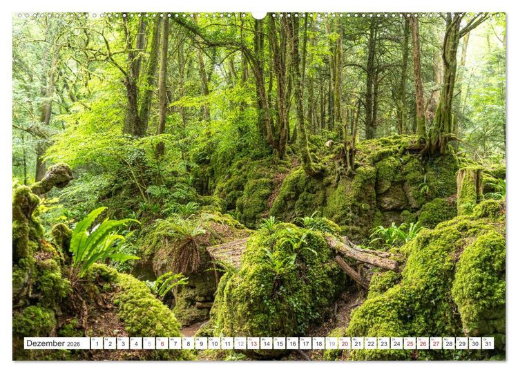 Produktbild: Faszination Naturwunder (hochwertiger Premium Wandkalender 2026 DIN A2 quer), Kunstdruck in Hochglanz