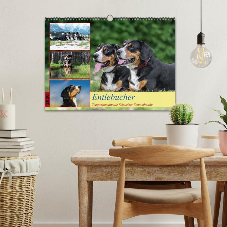 Produktbild: Entlebucher - Temperamentvolle Schweizer Sennenhunde (Wandkalender 2026 DIN A3 quer), CALVENDO Monatskalender