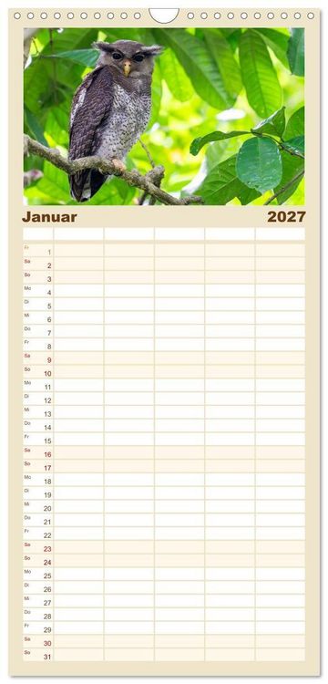 Produktbild: Familienplaner 2027 - Zwischen Nebel und Baumriesen - V&ouml;gel Borneos mit 5 Spalten (Wandkalender, 21 x 45 cm) CALVENDO