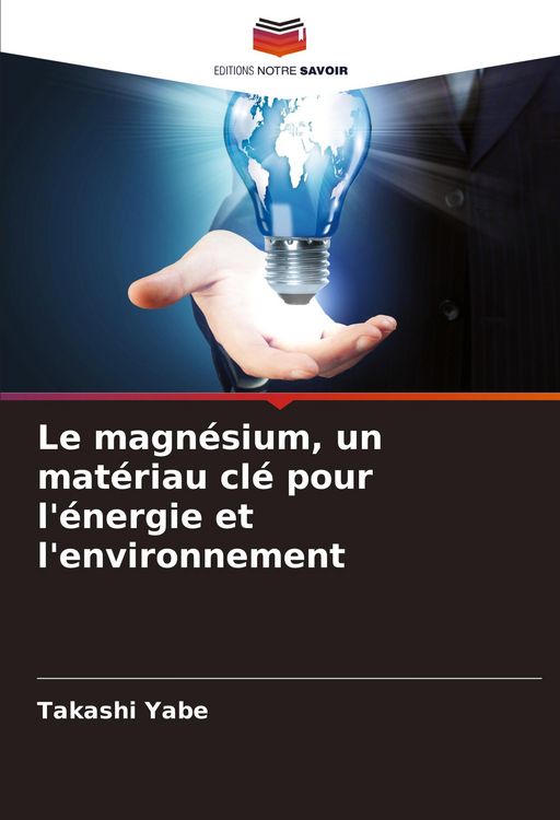 Produktbild: Le magn&eacute;sium, un mat&eacute;riau cl&eacute; pour l'&eacute;nergie et l'environnement