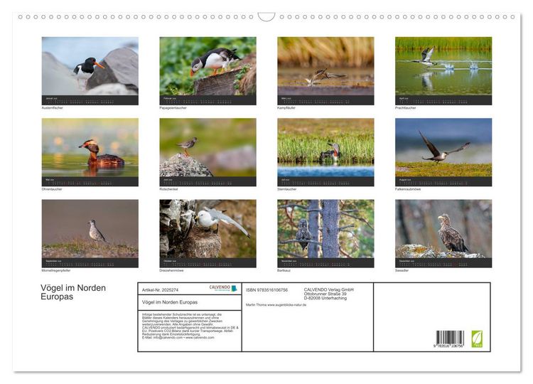 Produktbild: V&ouml;gel im Norden Europas (Wandkalender 2026 DIN A2 quer), CALVENDO Monatskalender