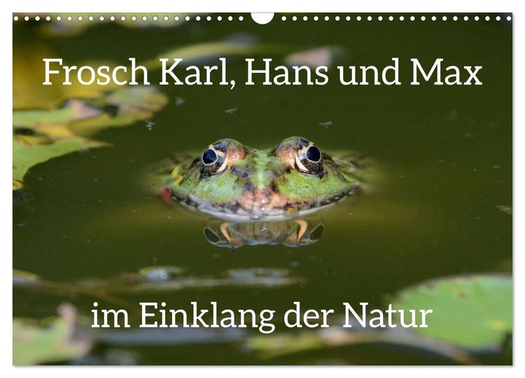 Produktbild: Frosch Karl, Hans und Max im Einklang der Natur (Wandkalender 2026 DIN A3 quer), CALVENDO Monatskalender