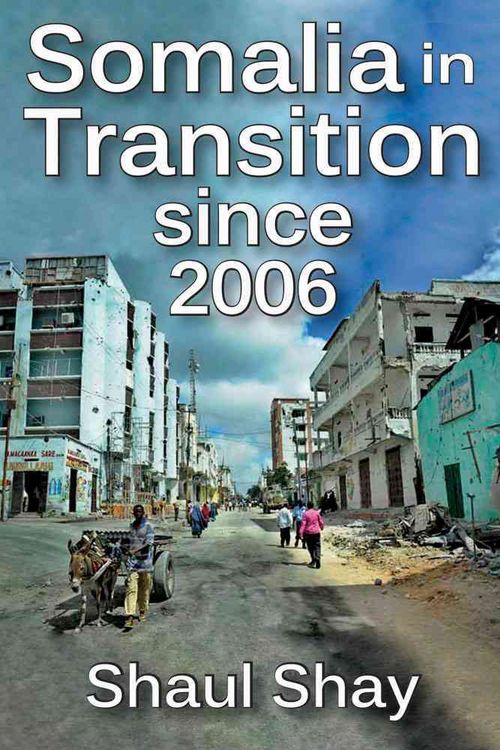 Produktbild: Somalia in Transition Since 2006