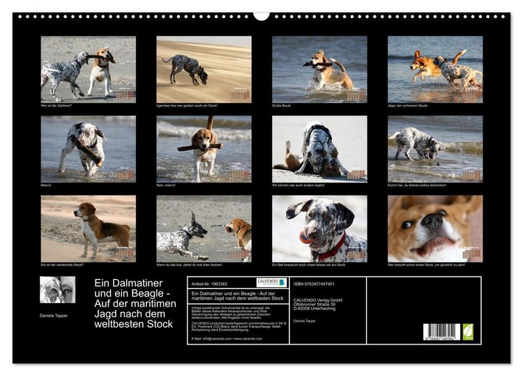 Produktbild: Ein Dalmatiner und ein Beagle - Auf der maritimen Jagd nach dem weltbesten Stock (Wandkalender 2026 DIN A2 quer), CALVENDO Monatskalender