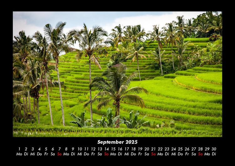 Produktbild: Palmentraum 2025 Fotokalender DIN A3