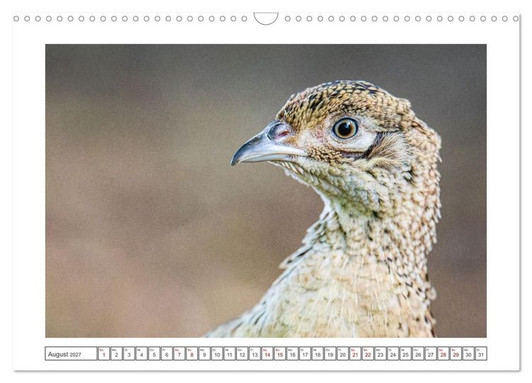 Produktbild: Lolland - Harmonie von Mensch und Natur (Wandkalender 2027 DIN A3 quer), CALVENDO Monatskalender