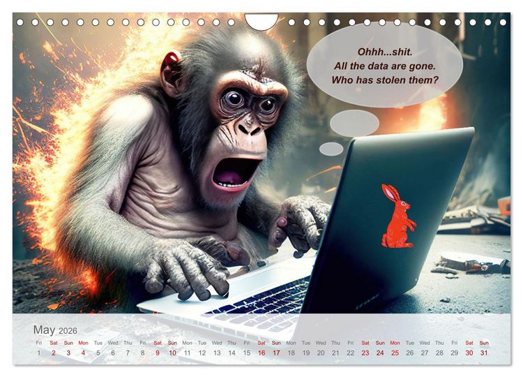 Produktbild: You really think you are an IT expert (Wall Calendar 2026 DIN A4 landscape), CALVENDO 12 Month Wall Calendar
