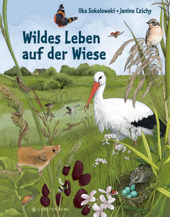 Produktbild: Wildes Leben auf der Wiese