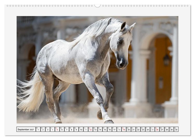 Produktbild: Spanische Eleganz. Edle Schimmel auf dem Gest&uuml;t (hochwertiger Premium Wandkalender 2027 DIN A2 quer), Kunstdruck in Hochglanz