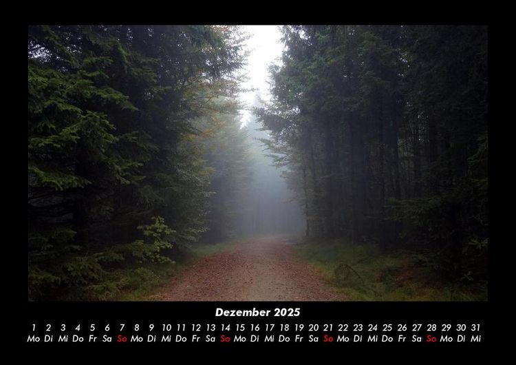 Produktbild: Waldzauber 2025 Fotokalender DIN A3