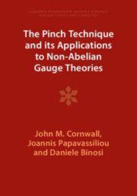 Produktbild: The Pinch Technique and its Applications to Non-Abelian Gauge Theories
