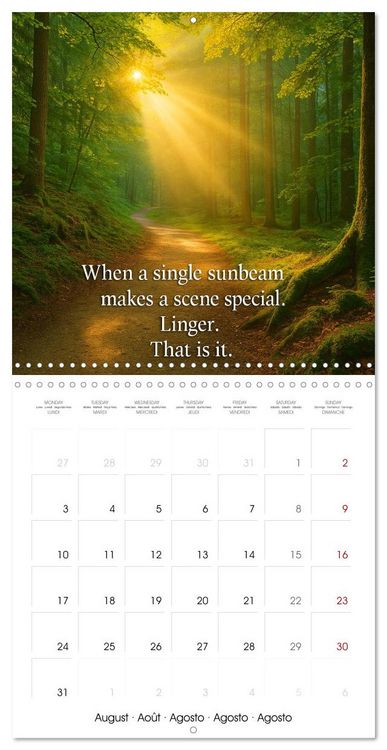 Produktbild: Let the moment guide you (Wall Calendar 2026 12 &times; 12 Inch) CALVENDO 12 Month Wall Calendar