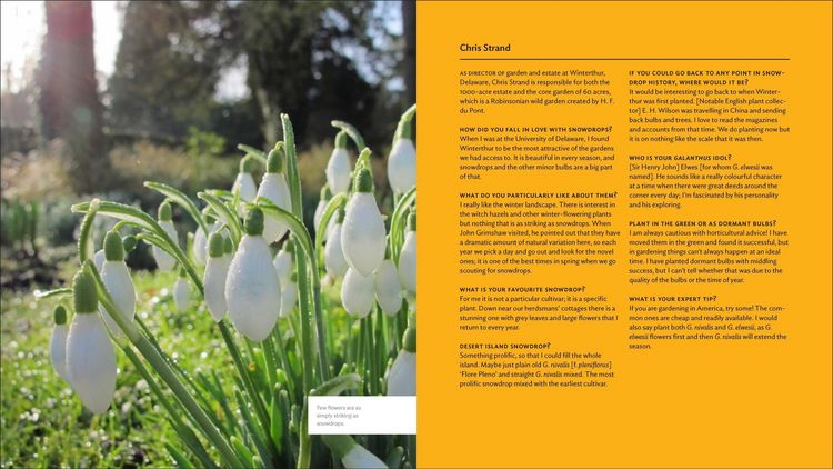 Produktbild: The Plant Lover's Guide to Snowdrops
