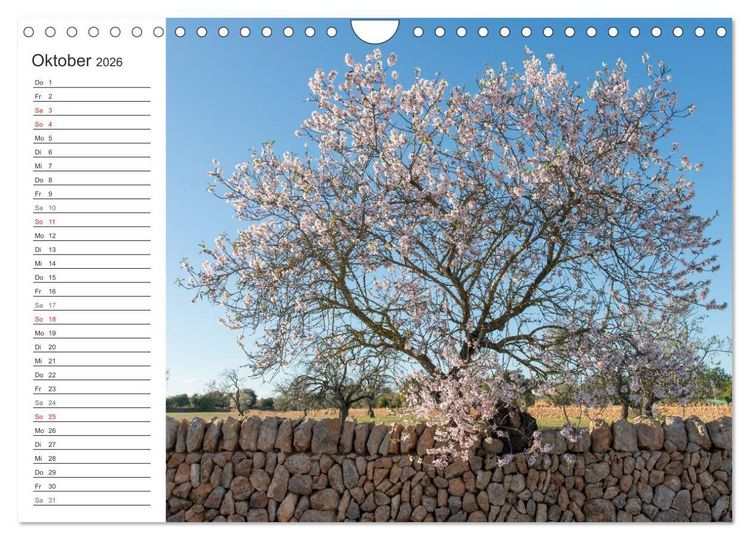 Produktbild: Emotionale Momente: Mandeln (Wandkalender 2026 DIN A4 quer), CALVENDO Monatskalender