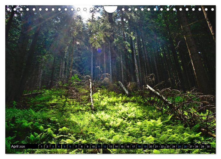 Produktbild: Slowakei - Abseits der Hohen Tatra (Wandkalender 2026 DIN A4 quer), CALVENDO Monatskalender