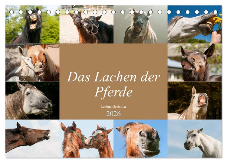 Produktbild: Das Lachen der Pferde - Lustige Gesichter (Tischkalender 2026 DIN A5 quer), CALVENDO Monatskalender