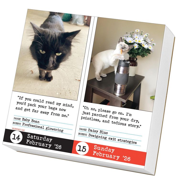 Produktbild: Bad Cat Page-A-Day(r) Calendar 2026