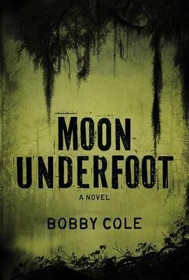 Produktbild: Moon Underfoot