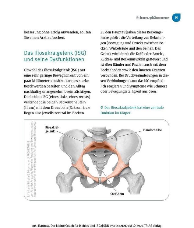 Produktbild: Der kleine Coach f&uuml;r Ischias und ISG