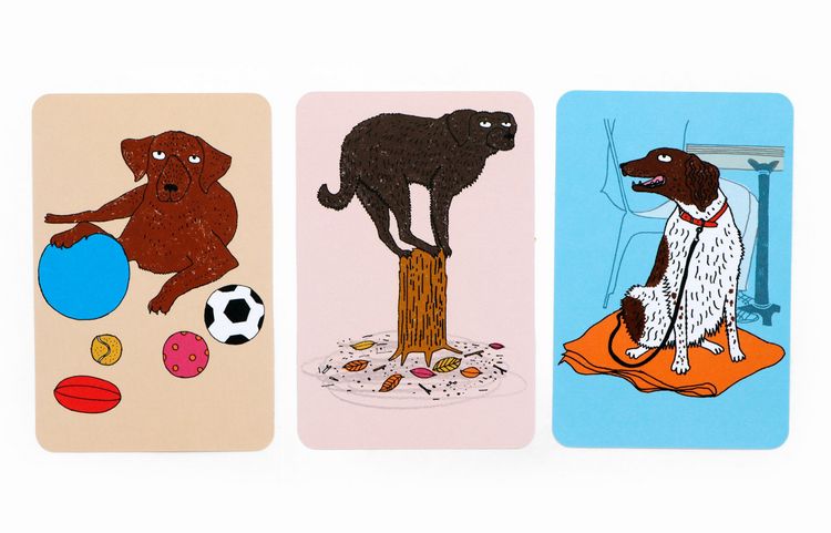 Produktbild: Hundeschule (auch f&uuml;r Menschen)