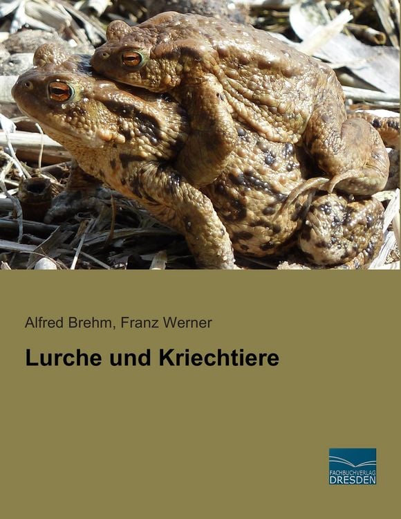 Produktbild: Lurche und Kriechtiere