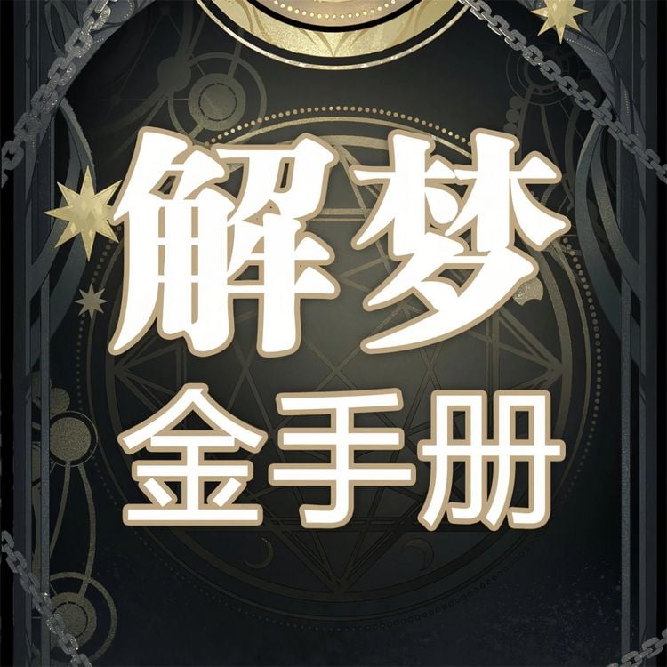 Produktbild: 解梦金手册