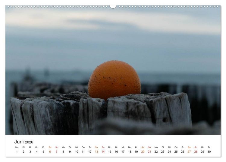 Produktbild: Wieder an der Nordsee (hochwertiger Premium Wandkalender 2026 DIN A2 quer), Kunstdruck in Hochglanz
