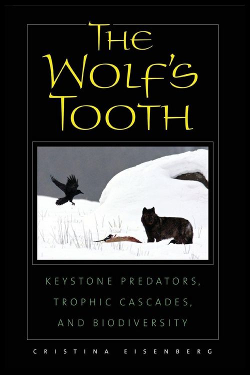 Produktbild: The Wolf's Tooth
