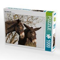Produktbild: CALVENDO Puzzle Esel unter sich 1000 Teile Lege-Gr&ouml;&szlig;e 64 x 48 cm Foto-Puzzle Bild von Meike B&ouml;lts