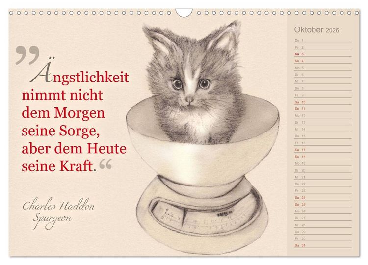 Produktbild: Von Katzen lernen (Wandkalender 2026 DIN A3 quer), CALVENDO Monatskalender