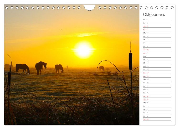 Produktbild: Nodseeinsel Sylt - Impressionen der beliebtesten Insel Deutschlands (Wandkalender 2026 DIN A4 quer), CALVENDO Monatskalender