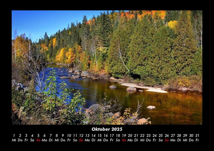 Produktbild: Waldzauber 2025 Fotokalender DIN A3