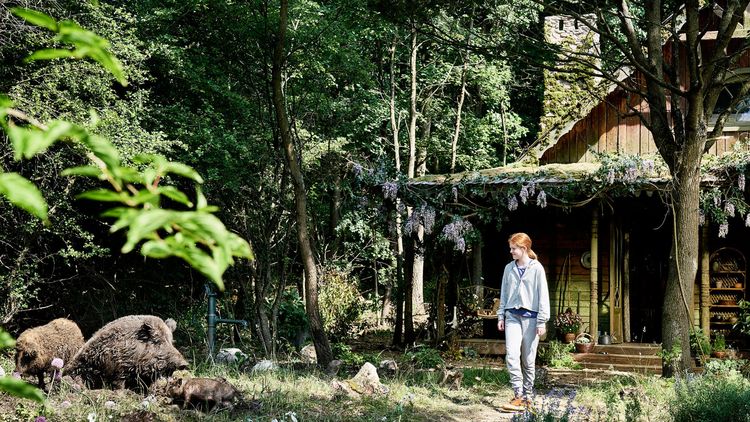 Produktbild: Wildhexe
