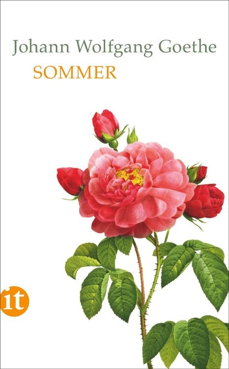 Bild vom Artikel Sommer vom Autor Johann Wolfgang von Goethe
