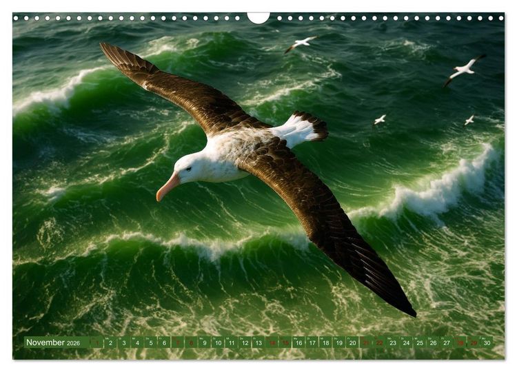Produktbild: &Uuml;ber dem Vogelflug (Wandkalender 2026 DIN A3 quer), CALVENDO Monatskalender