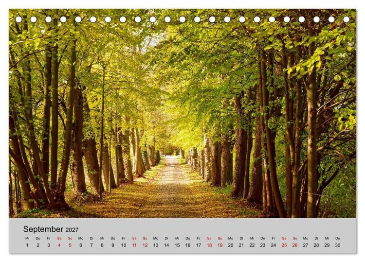 Produktbild: Biosph&auml;renreservat Schaalsee (Tischkalender 2027 DIN A5 quer), CALVENDO Monatskalender