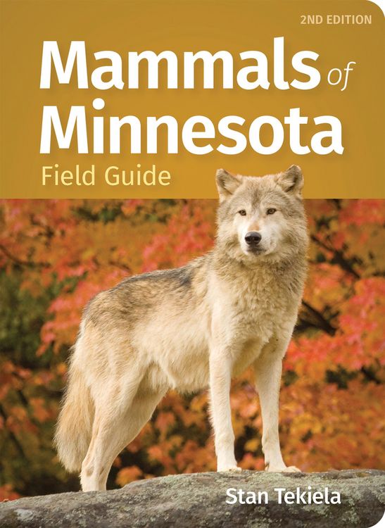 Produktbild: Mammals of Minnesota Field Guide